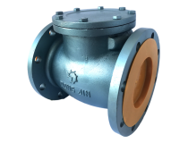 SWING CHECK VALVE