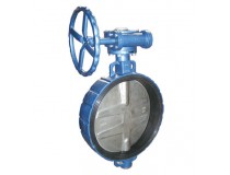 BUTTERFLY VALVE