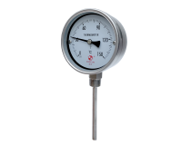 THERMOMETER GAUGE