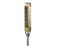 THERMOMETER GAUGE